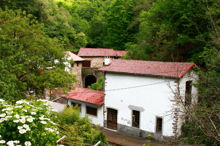 museo_visita